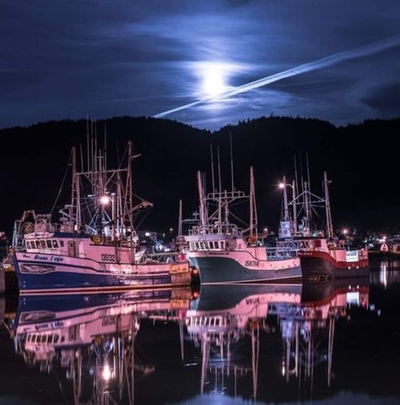 Meet your Posher, Shawn lewis - Picture 1 of 1